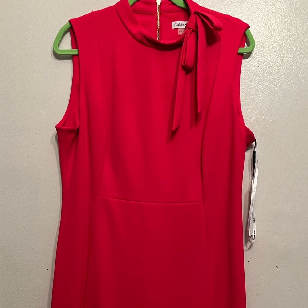 Calvin Klein Hot Pink Dress
